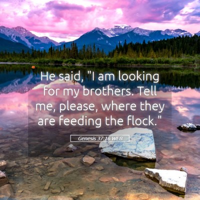Picture 05 - Genesis 37:16 WEB - He said, 