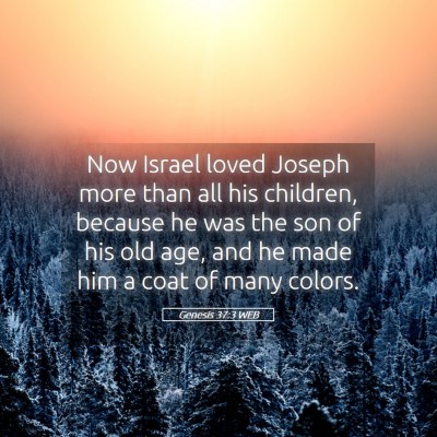 Picture 05 - Genesis 37:3 WEB - Now Israel loved Joseph more than all his - Bible Verse Picture