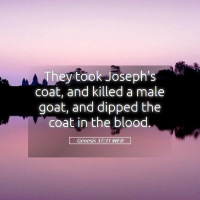 Picture 05 - Genesis 37:31 WEB - They took Joseph's coat, and killed a male goat, - Bible Verse Picture