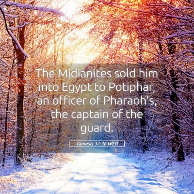 Picture 05 - Genesis 37:36 WEB - The Midianites sold him into Egypt to Potiphar, - Bible Verse Picture