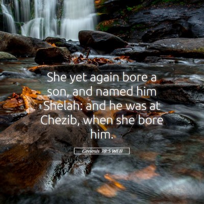 Picture 05 - Genesis 38:5 WEB - She yet again bore a son, and named him Shelah: - Bible Verse Picture