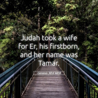 Picture 05 - Genesis 38:6 WEB - Judah took a wife for Er, his firstborn, and her - Bible Verse Picture