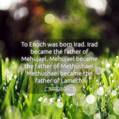 Picture 05 - Genesis 4:18 WEB - To Enoch was born Irad. Irad became the father of - Bible Verse Picture