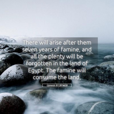 Picture 05 - Genesis 41:30 WEB - There will arise after them seven years of - Bible Verse Picture
