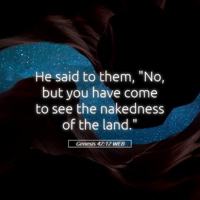 Picture 05 - Genesis 42:12 WEB - He said to them, 