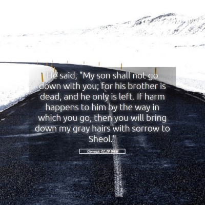 Picture 05 - Genesis 42:38 WEB - He said, 