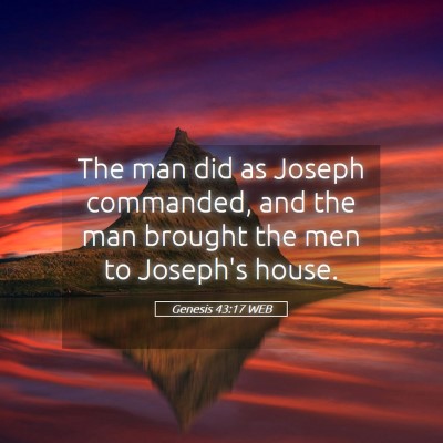 Picture 05 - Genesis 43:17 WEB - The man did as Joseph commanded, and the man - Bible Verse Picture