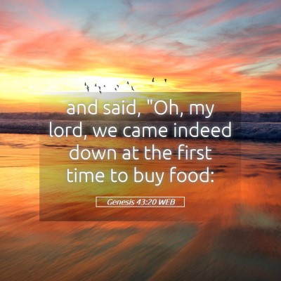 Picture 05 - Genesis 43:20 WEB - and said, 