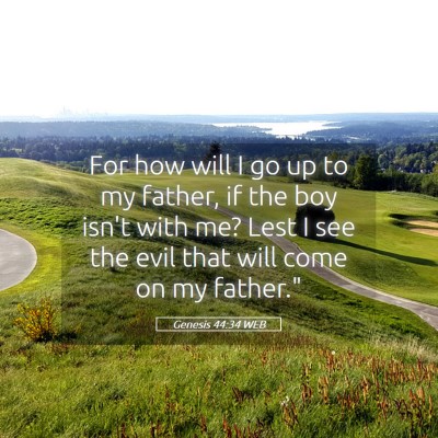 Picture 05 - Genesis 44:34 WEB - For how will I go up to my father, if the boy - Bible Verse Picture