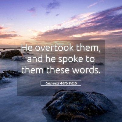Picture 05 - Genesis 44:6 WEB - He overtook them, and he spoke to them these - Bible Verse Picture