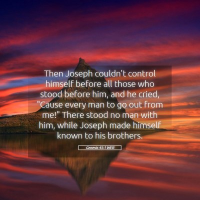 Picture 05 - Genesis 45:1 WEB - Then Joseph couldn't control himself before all - Bible Verse Picture