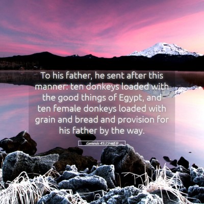 Picture 05 - Genesis 45:23 WEB - To his father, he sent after this manner: ten - Bible Verse Picture