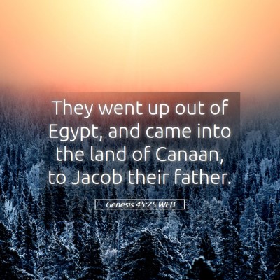Picture 05 - Genesis 45:25 WEB - They went up out of Egypt, and came into the land - Bible Verse Picture