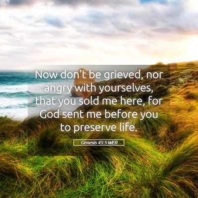 Picture 05 - Genesis 45:5 WEB - Now don't be grieved, nor angry with yourselves, - Bible Verse Picture