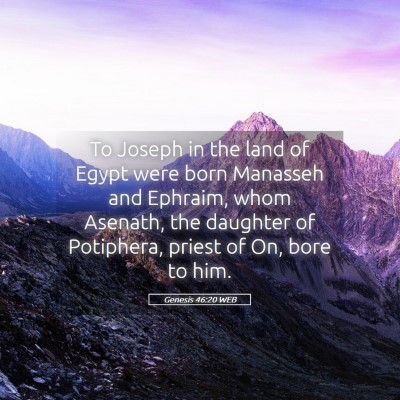 Picture 05 - Genesis 46:20 WEB - To Joseph in the land of Egypt were born Manasseh - Bible Verse Picture