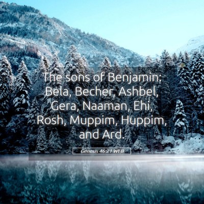 Picture 05 - Genesis 46:21 WEB - The sons of Benjamin: Bela, Becher, Ashbel, Gera, - Bible Verse Picture