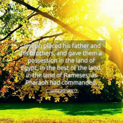 Picture 05 - Genesis 47:11 WEB - Joseph placed his father and his brothers, and - Bible Verse Picture