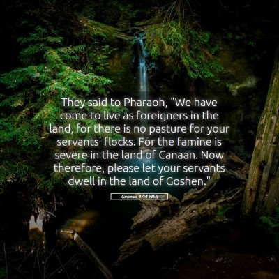 Picture 05 - Genesis 47:4 WEB - They said to Pharaoh, 