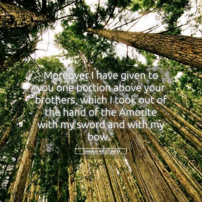Picture 05 - Genesis 48:22 WEB - Moreover I have given to you one portion above - Bible Verse Picture