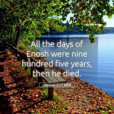 Picture 05 - Genesis 5:11 WEB - All the days of Enosh were nine hundred five - Bible Verse Picture