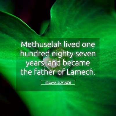 Picture 05 - Genesis 5:25 WEB - Methuselah lived one hundred eighty-seven years, - Bible Verse Picture