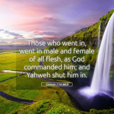 Picture 05 - Genesis 7:16 WEB - Those who went in, went in male and female of all - Bible Verse Picture