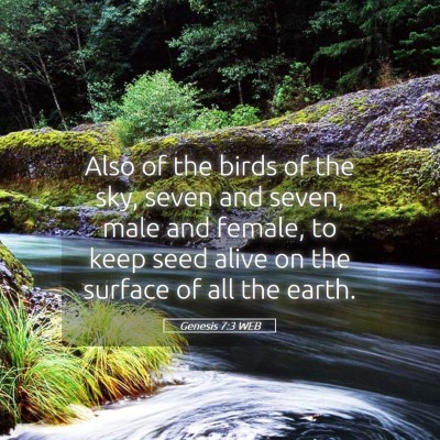 Picture 05 - Genesis 7:3 WEB - Also of the birds of the sky, seven and seven, - Bible Verse Picture