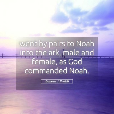 Picture 05 - Genesis 7:9 WEB - went by pairs to Noah into the ark, male and - Bible Verse Picture