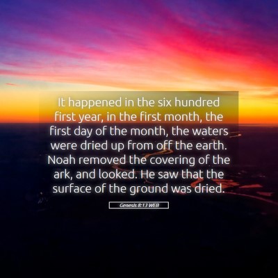 Picture 05 - Genesis 8:13 WEB - It happened in the six hundred first year, in the - Bible Verse Picture