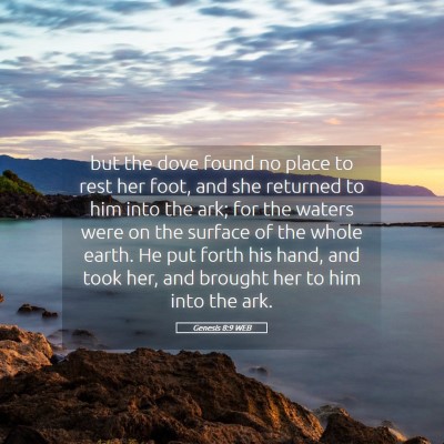 Picture 05 - Genesis 8:9 WEB - but the dove found no place to rest her foot, and - Bible Verse Picture