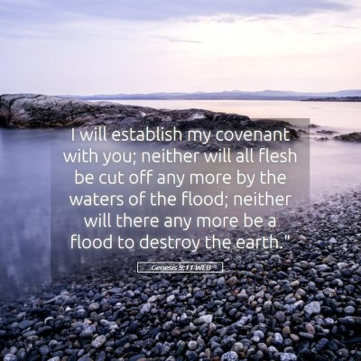 Picture 05 - Genesis 9:11 WEB - I will establish my covenant with you; neither - Bible Verse Picture