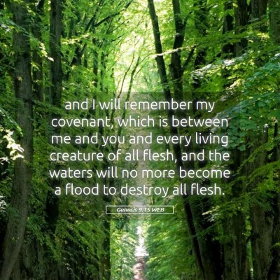 Picture 05 - Genesis 9:15 WEB - and I will remember my covenant, which is between - Bible Verse Picture