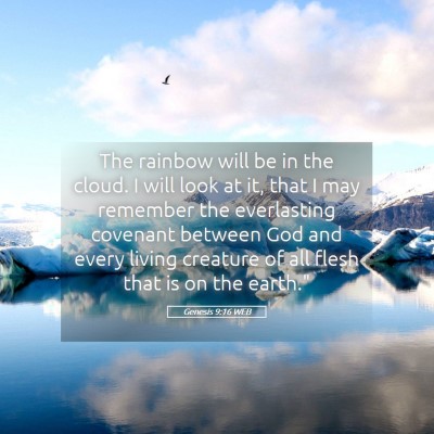 Picture 05 - Genesis 9:16 WEB - The rainbow will be in the cloud. I will look at - Bible Verse Picture