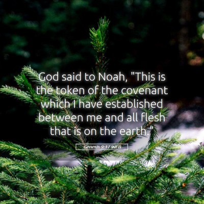 Picture 05 - Genesis 9:17 WEB - God said to Noah, 