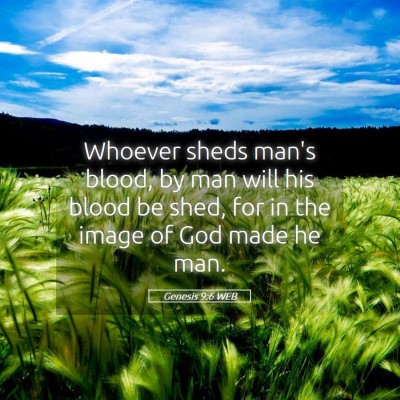 Picture 05 - Genesis 9:6 WEB - Whoever sheds man's blood, by man will his blood - Bible Verse Picture