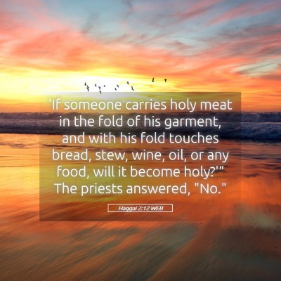 Picture 05 - Haggai 2:12 WEB - 'If someone carries holy meat in the fold of his - Bible Verse Picture