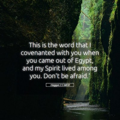 Picture 05 - Haggai 2:5 WEB - This is the word that I covenanted with you when - Bible Verse Picture