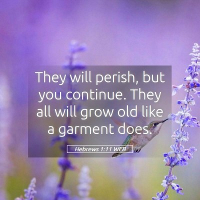Picture 05 - Hebrews 1:11 WEB - They will perish, but you continue. They all will - Bible Verse Picture