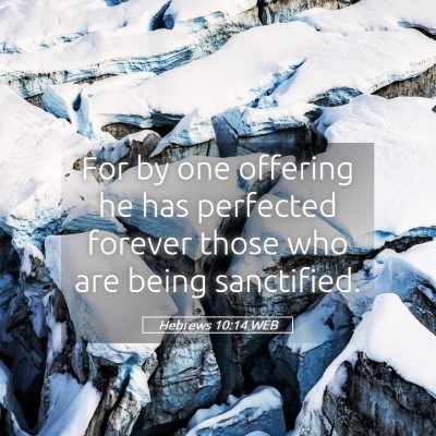 Picture 05 - Hebrews 10:14 WEB - For by one offering he has perfected forever - Bible Verse Picture