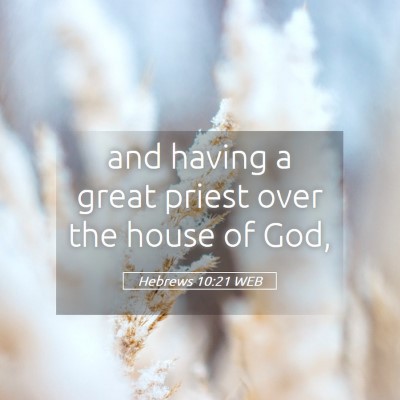 Picture 05 - Hebrews 10:21 WEB - and having a great priest over the house of - Bible Verse Picture