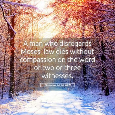Picture 05 - Hebrews 10:28 WEB - A man who disregards Moses' law dies without - Bible Verse Picture