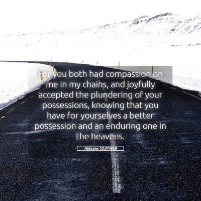 Picture 05 - Hebrews 10:34 WEB - For you both had compassion on me in my chains, - Bible Verse Picture