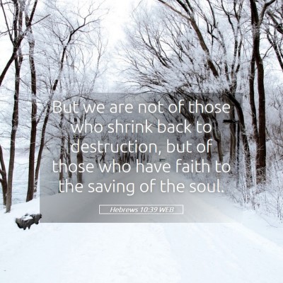 Picture 05 - Hebrews 10:39 WEB - But we are not of those who shrink back to - Bible Verse Picture