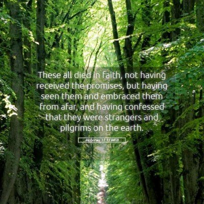 Picture 05 - Hebrews 11:13 WEB - These all died in faith, not having received the - Bible Verse Picture
