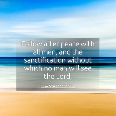 Picture 05 - Hebrews 12:14 WEB - Follow after peace with all men, and the - Bible Verse Picture