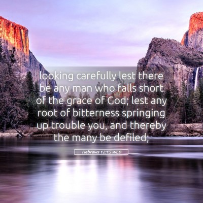 Picture 05 - Hebrews 12:15 WEB - looking carefully lest there be any man who falls - Bible Verse Picture