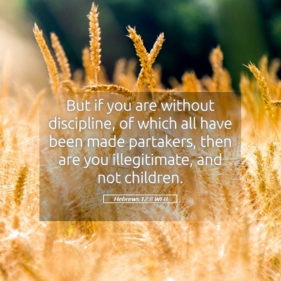 Picture 05 - Hebrews 12:8 WEB - But if you are without discipline, of which all - Bible Verse Picture