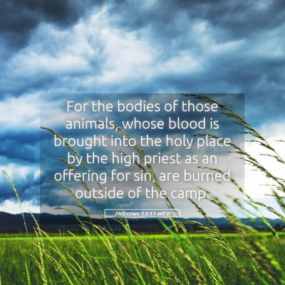 Picture 05 - Hebrews 13:11 WEB - For the bodies of those animals, whose blood is - Bible Verse Picture
