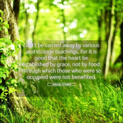 Picture 05 - Hebrews 13:9 WEB - Don't be carried away by various and strange - Bible Verse Picture