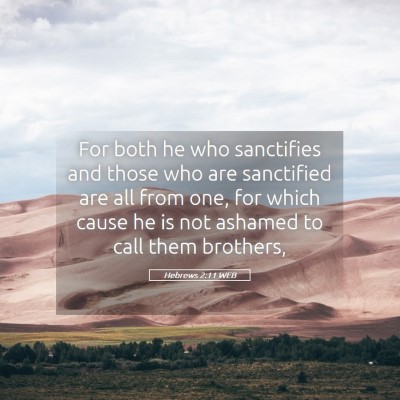 Picture 05 - Hebrews 2:11 WEB - For both he who sanctifies and those who are - Bible Verse Picture